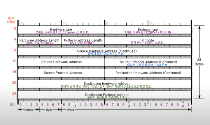 ARP 프로토콜